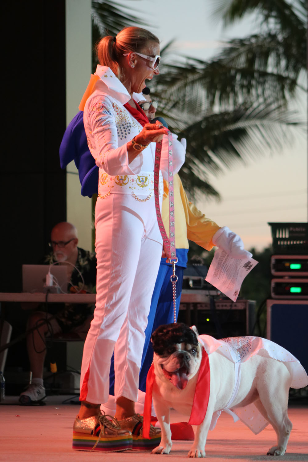 Pet Masquerade 2018 photo - Duval Street, Key West